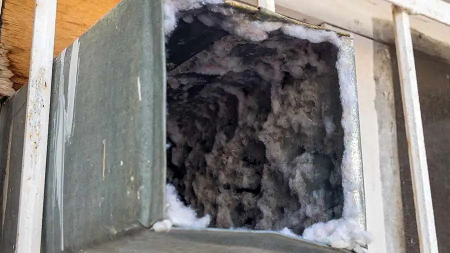 Duct Cleaning